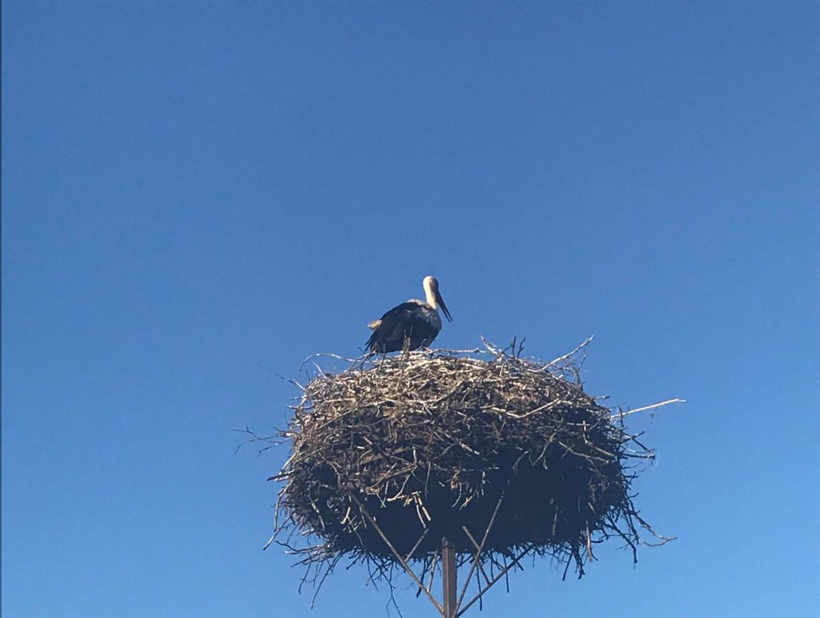 Gosciniec Twoje Mazury Nad Jeziorem Sniardwy Tuz Obok Plazy Nowe Guty Kültér fotó