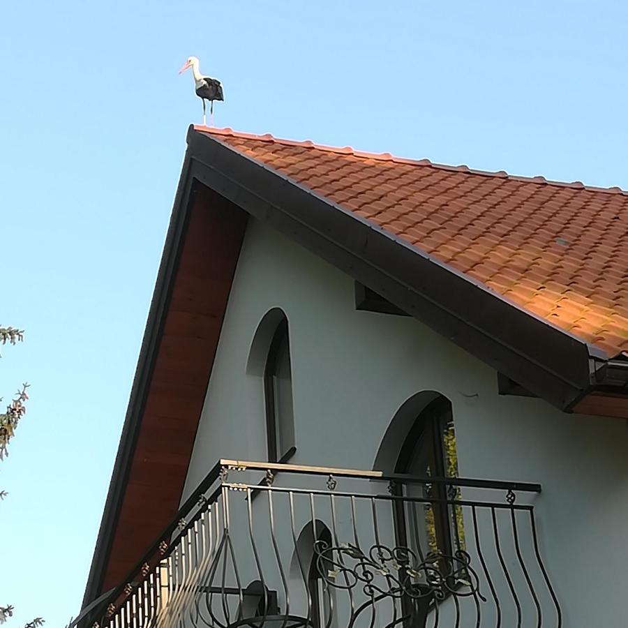 Gosciniec Twoje Mazury Nad Jeziorem Sniardwy Tuz Obok Plazy Nowe Guty Kültér fotó